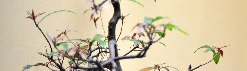 Architekturfotografie Blog Michael Rasche